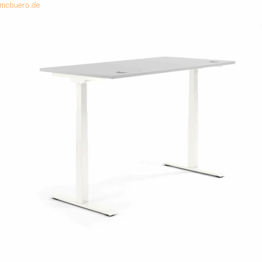 4003969133853 - Sitz-Steh-Schreibtisch Flex Modul 810061481 elektrisch höhenverstellbar 605-1255cm (H) 200x80cm (BxT) rechteckig lichtgrau 4003969133853 - Sitz-Steh-Schreibtisch Flex Modul 810061481 elektrisch höhenverstellbar 605-1255cm (H) 200x80cm (BxT) rechteckig lichtgrau