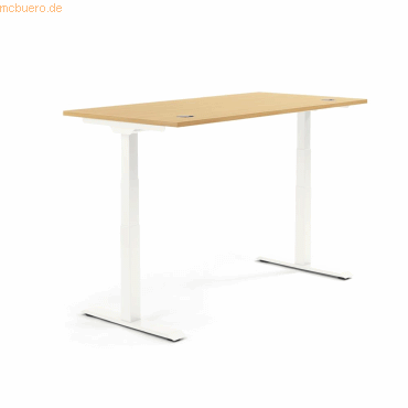 4003969133952 - Sitz-Steh-Schreibtisch Flex Modul 810061272 elektrisch höhenverstellbar 605-1255cm (H) 160x80cm (BxT) rechteckig buche   W