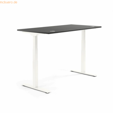 4003969133990 - Sitz-Steh-Schreibtisch Flex Modul 810061291 elektrisch höhenverstellbar 605-1255cm (H) 160x80cm (BxT) rechteckig anthrazit