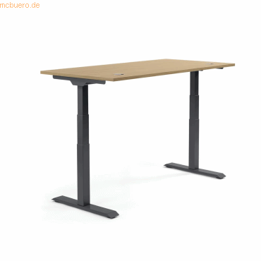 4003969134034 - Sitz-Steh-Schreibtisch Flex Modul 810061571 elektrisch höhenverstellbar 605-1255cm (H) 120x80cm (BxT) rechteckig eiche hel 4003969134034 - Sitz-Steh-Schreibtisch Flex Modul 810061571 elektrisch höhenverstellbar 605-1255cm (H) 120x80cm (BxT) rechteckig eiche hel