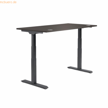 4003969134058 - Sitz-Steh-Schreibtisch Flex Modul 810061674 elektrisch höhenverstellbar 605-1255cm (H) 160x80cm (BxT) rechteckig eiche dun 4003969134058 - Sitz-Steh-Schreibtisch Flex Modul 810061674 elektrisch höhenverstellbar 605-1255cm (H) 160x80cm (BxT) rechteckig eiche dun