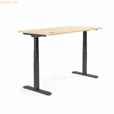 4003969134065 - Sitz-Steh-Schreibtisch Flex Modul 810061579 elektrisch höhenverstellbar 605-1255cm (H) 120x80cm (BxT) rechteckig ahorn   S