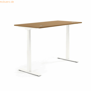 4003969134072 - Sitz-Steh-Schreibtisch Flex Modul 810061173 elektrisch höhenverstellbar 605-1255cm (H) 120x80cm (BxT) rechteckig nuss We 4003969134072 - Sitz-Steh-Schreibtisch Flex Modul 810061173 elektrisch höhenverstellbar 605-1255cm (H) 120x80cm (BxT) rechteckig nuss We