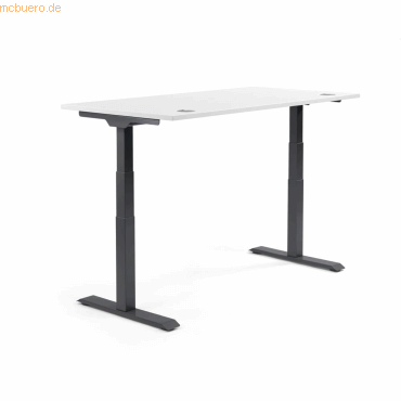 4003969134201 - Sitz-Steh-Schreibtisch Flex Modul 810061501 elektrisch höhenverstellbar 605-1255cm (H) 120x80cm (BxT) rechteckig weiß   Sc