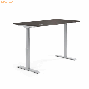 4003969134270 - Sitz-Steh-Schreibtisch Flex Modul 810060874 elektrisch höhenverstellbar 605-1255cm (H) 160x80cm (BxT) rechteckig eiche du 4003969134270 - Sitz-Steh-Schreibtisch Flex Modul 810060874 elektrisch höhenverstellbar 605-1255cm (H) 160x80cm (BxT) rechteckig eiche du