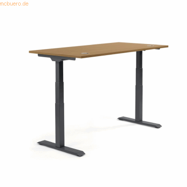 4003969134300 - Sitz-Steh-Schreibtisch Flex Modul 810061573 elektrisch höhenverstellbar 605-1255cm (H) 120x80cm (BxT) rechteckig nuss Sc 4003969134300 - Sitz-Steh-Schreibtisch Flex Modul 810061573 elektrisch höhenverstellbar 605-1255cm (H) 120x80cm (BxT) rechteckig nuss Sc