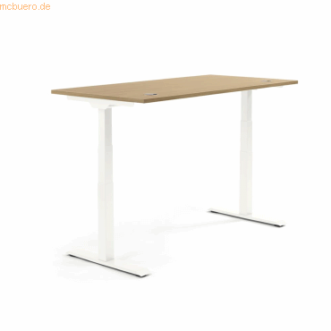 4003969134324 - Sitz-Steh-Schreibtisch Flex Modul 810061271 elektrisch höhenverstellbar 605-1255cm (H) 160x80cm (BxT) rechteckig eiche hel