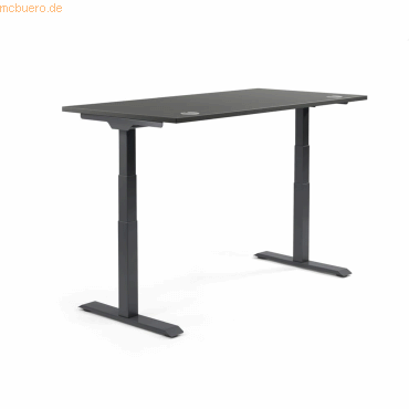 4003969134348 - Sitz-Steh-Schreibtisch Flex Modul 810061891 elektrisch höhenverstellbar 605-1255cm (H) 200x80cm (BxT) rechteckig anthrazit 4003969134348 - Sitz-Steh-Schreibtisch Flex Modul 810061891 elektrisch höhenverstellbar 605-1255cm (H) 200x80cm (BxT) rechteckig anthrazit