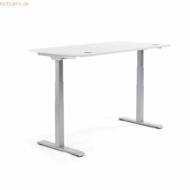 4003969134447 - Sitz-Steh-Schreibtisch Flex Modul 810060801 elektrisch höhenverstellbar 605-1255cm (H) 160x80cm (BxT) rechteckig weiß A 4003969134447 - Sitz-Steh-Schreibtisch Flex Modul 810060801 elektrisch höhenverstellbar 605-1255cm (H) 160x80cm (BxT) rechteckig weiß A