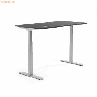 4003969134560 - Sitz-Steh-Schreibtisch Flex Modul 810060891 elektrisch höhenverstellbar 605-1255cm (H) 160x80cm (BxT) rechteckig anthrazi