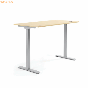 4003969134652 - Sitz-Steh-Schreibtisch Flex Modul 810060879 elektrisch höhenverstellbar 605-1255cm (H) 160x80cm (BxT) rechteckig ahorn 4003969134652 - Sitz-Steh-Schreibtisch Flex Modul 810060879 elektrisch höhenverstellbar 605-1255cm (H) 160x80cm (BxT) rechteckig ahorn