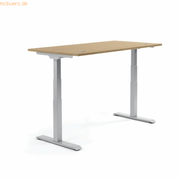 4003969134706 - Sitz-Steh-Schreibtisch Flex Modul 810060771 elektrisch höhenverstellbar 605-1255cm (H) 120x80cm (BxT) rechteckig eiche he 4003969134706 - Sitz-Steh-Schreibtisch Flex Modul 810060771 elektrisch höhenverstellbar 605-1255cm (H) 120x80cm (BxT) rechteckig eiche he