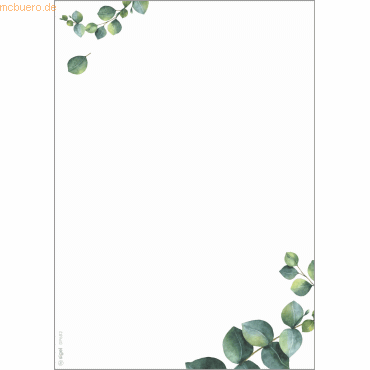 4004360770791 - Motiv-Papier A5 90g Eucalyptus 100 Blatt 4004360770791 - Motiv-Papier A5 90g Eucalyptus 100 Blatt