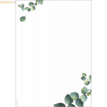 4004360770913 - SIGEL Motivpapier weiß grün DIN A4 90 g m² 100 Blatt