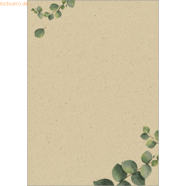 4004360785436 - Motiv-Papier A4 100g Graspapier Eucalyptus 100 Blatt 4004360785436 - Motiv-Papier A4 100g Graspapier Eucalyptus 100 Blatt
