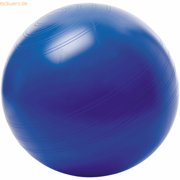 4006226003524 - TOGU Sitzball ABS 408564 kein Wegrollen 55cm Größe M blau 4006226003524 TOGU GmbH 4006226003524 - TOGU Sitzball ABS 408564 kein Wegrollen 55cm Größe M blau 4006226003524 TOGU GmbH