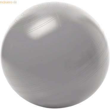 4006226023829 - TOGU Sitzball ABS 408751 kein Wegrollen 75cm Größe XL silber 4006226023829 TOGU GmbH 4006226023829 - TOGU Sitzball ABS 408751 kein Wegrollen 75cm Größe XL silber 4006226023829 TOGU GmbH