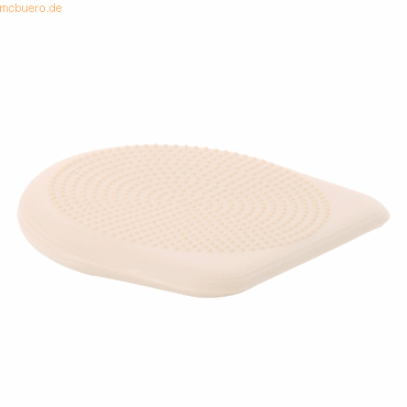 4006226048174 - TOGU Keil Ballkissen DYNAIR Premium 400351 36x37cm pearl +Pumpe 4006226048174 400351 4006226048174 - TOGU Keil Ballkissen DYNAIR Premium 400351 36x37cm pearl +Pumpe 4006226048174 400351