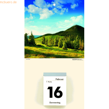 Zettler Kalenderrückwand 18x33cm für Typ 302 / 304 / 305 / 312 Natur s