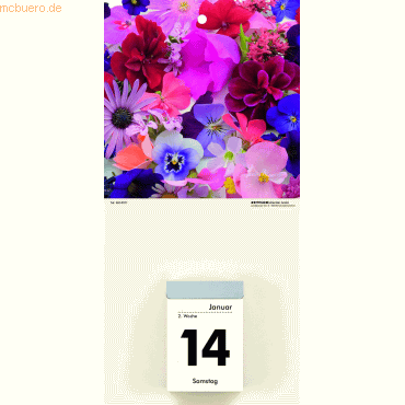 Zettler Kalenderrückwand 14,5x30cm für Typ 301 / 302 Blumen sortiert