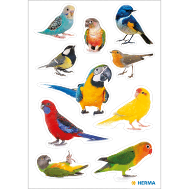 4008705154772 - 10 x HERMA Schmucketikett DECOR Vögel 4008705154772 - 10 x HERMA Schmucketikett DECOR Vögel