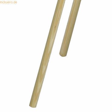 4028656141409 - Besenstiel 10001619 24x1400mm roh ohne Gewinde 4028656141409 Profi Brush 10001619