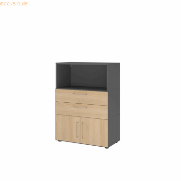 4032062308059 - Regalschrank FlexWall VFW38K1KGGEBS grafit eiche 2 Fachböden 800 x 400 x 1098 cm 4032062308059 Hammerbacher