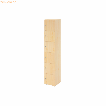 4032062313671 - Schließfachschrank Topas Line 6 Ordnerhöhen 6 Fächer Zylinderschloss B 400 x T 420 x H 2156 mm Ahorn Ahorn
