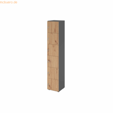 4032062313749 - HAMMERBACHER Schließfachschrank grafit asteiche V264L6 G R DS 6 Schließfächer 400 x 420 x 2156 cm