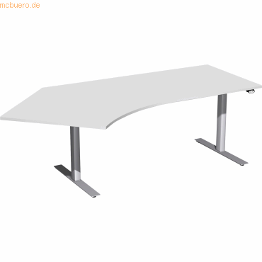 4038933527161 - Sitz-Steh-Schreibtisch Elektro Flex S-08F1615-LS elektrisch höhenverstellbar Freiform lichtgrau Silber 4038933527161 Geram 4038933527161 - Sitz-Steh-Schreibtisch Elektro Flex S-08F1615-LS elektrisch höhenverstellbar Freiform lichtgrau Silber 4038933527161 Geram