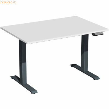4038933543819 - Sitz-Steh-Schreibtisch Elevate Basic S-08J1208-LA elektrisch höhenverstellbar 73-123cm (H) 120x80cm (BxT) rechteckig lichtg 4038933543819 - Sitz-Steh-Schreibtisch Elevate Basic S-08J1208-LA elektrisch höhenverstellbar 73-123cm (H) 120x80cm (BxT) rechteckig lichtg