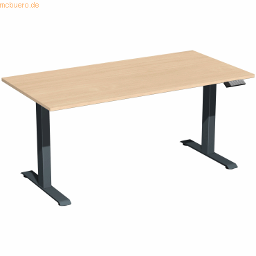 4038933543963 - Sitz-Steh-Schreibtisch Elevate Basic S-08J1608-BA elektrisch höhenverstellbar 73-123cm (H) 160x80cm (BxT) rechteckig buche 