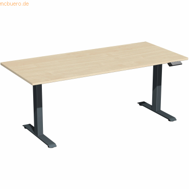 4038933544113 - Sitz-Steh-Schreibtisch Elevate Basic S-08J1808-AA elektrisch höhenverstellbar 73-123cm (H) 180x80cm (BxT) rechteckig ahorn 4038933544113 - Sitz-Steh-Schreibtisch Elevate Basic S-08J1808-AA elektrisch höhenverstellbar 73-123cm (H) 180x80cm (BxT) rechteckig ahorn