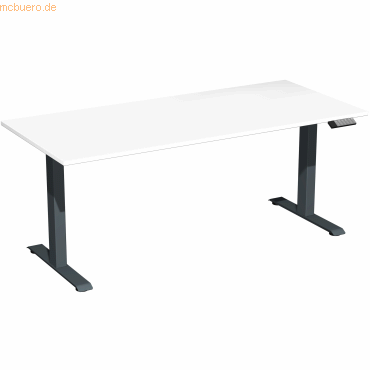 4038933544205 - Sitz-Steh-Schreibtisch Elevate Basic S-08J1808-WA elektrisch höhenverstellbar 73-123cm (H) 180x80cm (BxT) rechteckig weiß 4038933544205 - Sitz-Steh-Schreibtisch Elevate Basic S-08J1808-WA elektrisch höhenverstellbar 73-123cm (H) 180x80cm (BxT) rechteckig weiß