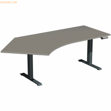 4038933544410 - Schreibtisch Elevate Basic N-08J1615-OA elektrisch höhenverstellbar 73-123cm (H) Freiform onyx anthrazit 4038933544410 Ger 4038933544410 - Schreibtisch Elevate Basic N-08J1615-OA elektrisch höhenverstellbar 73-123cm (H) Freiform onyx anthrazit 4038933544410 Ger