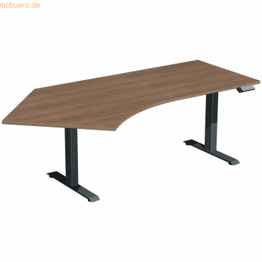 4038933544441 - Schreibtisch Elevate Basic N-08J1615-NA elektrisch höhenverstellbar 73-123cm (H) Freiform nussbaum anthrazit 4038933544441 4038933544441 - Schreibtisch Elevate Basic N-08J1615-NA elektrisch höhenverstellbar 73-123cm (H) Freiform nussbaum anthrazit 4038933544441