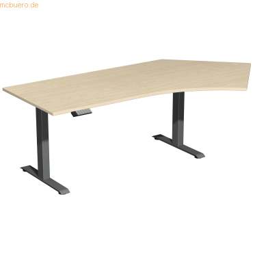 4038933544472 - Sitz-Steh-Schreibtisch Elevate Basic S-08J1616-AA elektrisch höhenverstellbar 73-123cm (H) 2166x113cm (BxT) Freiform ahorn 4038933544472 - Sitz-Steh-Schreibtisch Elevate Basic S-08J1616-AA elektrisch höhenverstellbar 73-123cm (H) 2166x113cm (BxT) Freiform ahorn