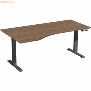 4038933544984 - Schreibtisch Elevate Basic N-08J1812-NA elektrisch höhenverstellbar 73-123cm (H) Freiform nussbaum anthrazit 4038933544984 4038933544984 - Schreibtisch Elevate Basic N-08J1812-NA elektrisch höhenverstellbar 73-123cm (H) Freiform nussbaum anthrazit 4038933544984