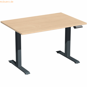 4038933545042 - Sitz-Steh-Schreibtisch Elevate Plus S-08K1208-BA elektrisch höhenverstellbar 63-128cm (H) 120x80cm (BxT) rechteckig buche 4038933545042 - Sitz-Steh-Schreibtisch Elevate Plus S-08K1208-BA elektrisch höhenverstellbar 63-128cm (H) 120x80cm (BxT) rechteckig buche