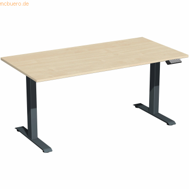 4038933545196 - Sitz-Steh-Schreibtisch Elevate Plus S-08K1608-AA elektrisch höhenverstellbar 63-128cm (H) 160x80cm (BxT) rechteckig ahorn 4038933545196 - Sitz-Steh-Schreibtisch Elevate Plus S-08K1608-AA elektrisch höhenverstellbar 63-128cm (H) 160x80cm (BxT) rechteckig ahorn