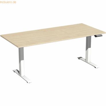4038933545387 - Sitz-Steh-Schreibtisch Elevate Plus S-08K1808-AW elektrisch höhenverstellbar 63-128cm (H) 180x80cm (BxT) rechteckig ahorn 4038933545387 - Sitz-Steh-Schreibtisch Elevate Plus S-08K1808-AW elektrisch höhenverstellbar 63-128cm (H) 180x80cm (BxT) rechteckig ahorn