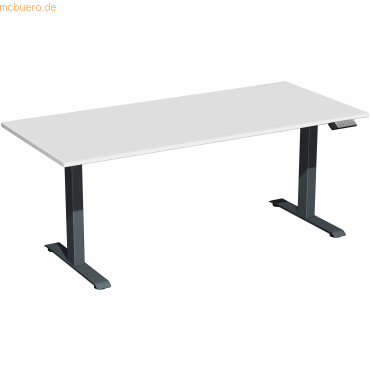 4038933545431 - Sitz-Steh-Schreibtisch Elevate Plus S-08K1808-LA elektrisch höhenverstellbar 63-128cm (H) 180x80cm (BxT) rechteckig lichtgr 4038933545431 - Sitz-Steh-Schreibtisch Elevate Plus S-08K1808-LA elektrisch höhenverstellbar 63-128cm (H) 180x80cm (BxT) rechteckig lichtgr