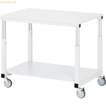 4040376863980 - Rau Tischwagen Serie E 2 Etagen Melaminplatten Stahlrohr-Gestell 4 TPE-Lenkrollen B 1000 x T 700 x H 650-1000 mm bis 450 kg lichtgrau 4040376863980 - Rau Tischwagen Serie E 2 Etagen Melaminplatten Stahlrohr-Gestell 4 TPE-Lenkrollen B 1000 x T 700 x H 650-1000 mm bis 450 kg lichtgrau