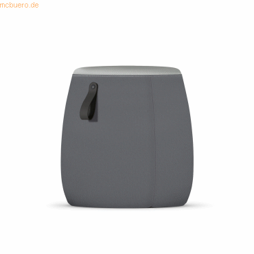 4049694006383 - Sitzhocker PF-905 004 sedot dunkelgrau bis 110kg 4049694006383 Sedus 4049694006383 - Sitzhocker PF-905 004 sedot dunkelgrau bis 110kg 4049694006383 Sedus