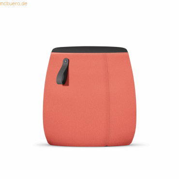 4049694006413 - Sitzhocker PF-905 007 sedot lachsorange bis 110kg 4049694006413 Sedus 4049694006413 - Sitzhocker PF-905 007 sedot lachsorange bis 110kg 4049694006413 Sedus