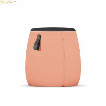 4049694006420 - Sitzhocker PF-905 008 sedot apricot bis 110kg 4049694006420 Sedus 4049694006420 - Sitzhocker PF-905 008 sedot apricot bis 110kg 4049694006420 Sedus
