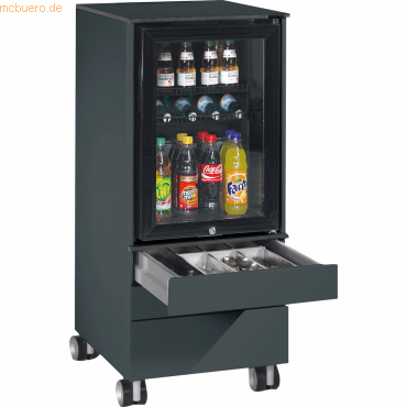 4056211637500 - CP Kühlschrankcaddy 54780000S10031 Besteck Geschirr silbergrau schwarz 4056211637500 - CP Kühlschrankcaddy 54780000S10031 Besteck Geschirr silbergrau schwarz