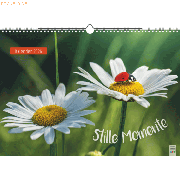 4061947146134 - Bildkalender 44x31cm 1 Seite Monat Stille Momente 2026 4061947146134 - Bildkalender 44x31cm 1 Seite Monat Stille Momente 2026