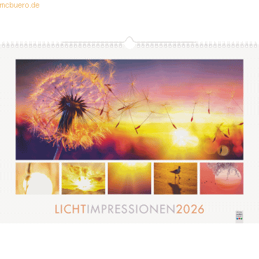 4061947146158 - Bildkalender 49x34cm 1 Seite Monat Lichtimpressionen 2026 4061947146158 - Bildkalender 49x34cm 1 Seite Monat Lichtimpressionen 2026