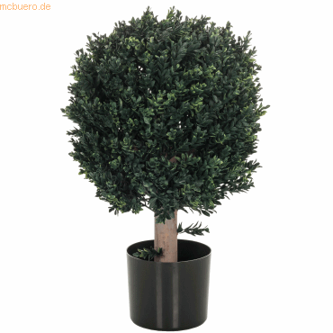 4064323036500 - Kunstpflanze BUXUS Kunststoff hjh OFFICE 4064323036500 - Kunstpflanze BUXUS Kunststoff hjh OFFICE